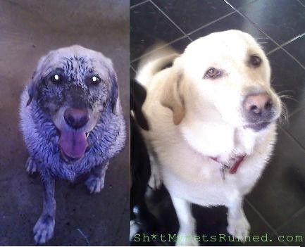 ladybeforeandafter