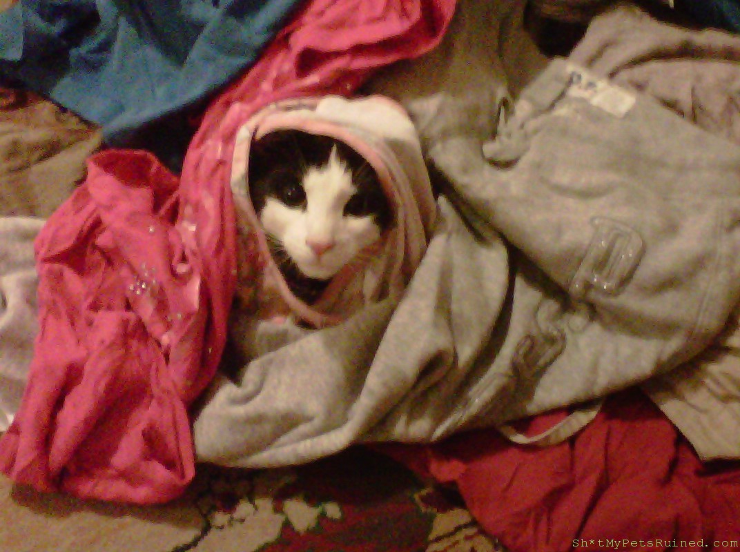 IMG00525-20110605-2236