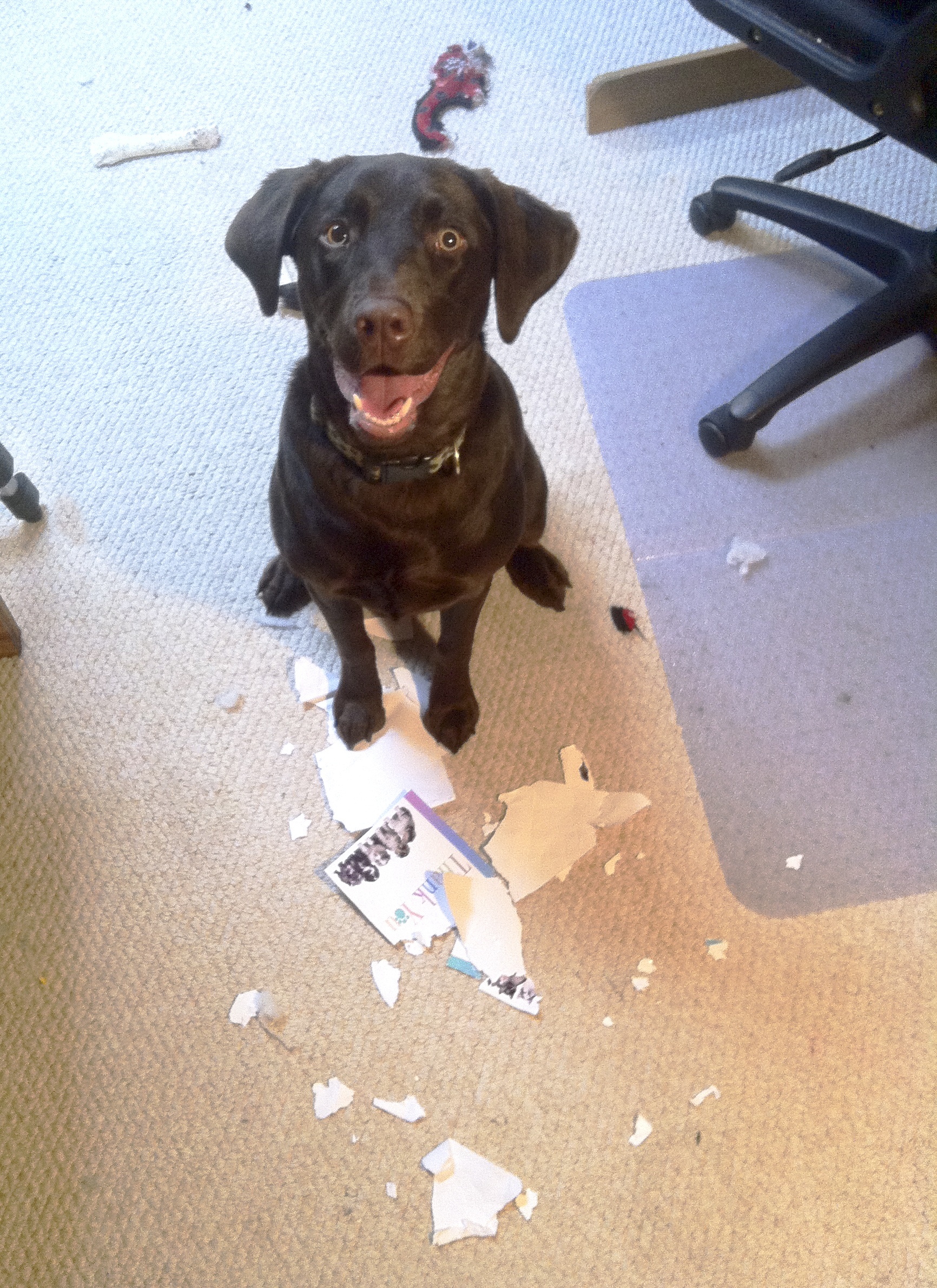 Penny shows no Kindness