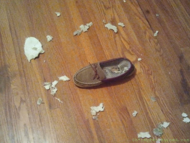 slipper