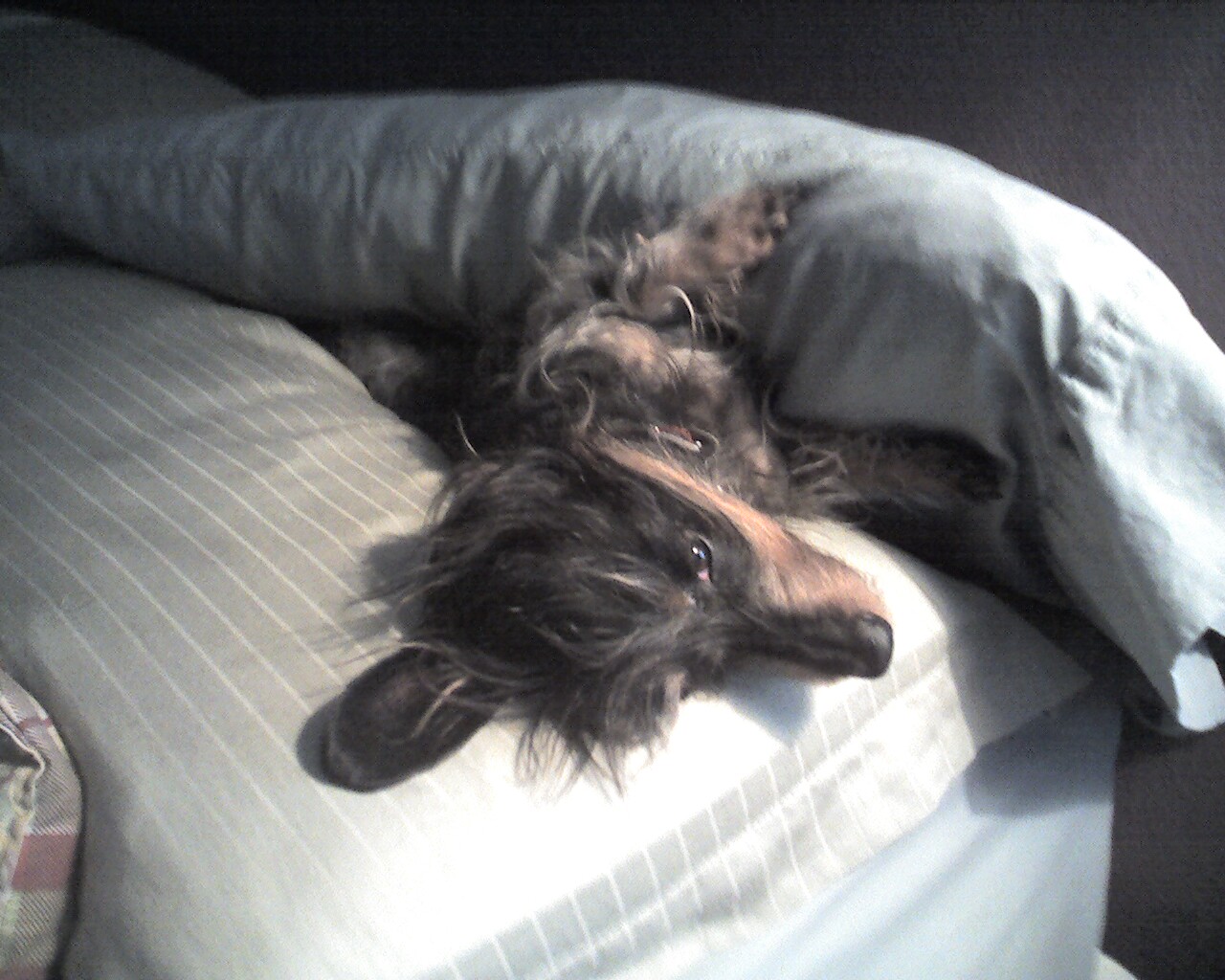 Photo_031312_001