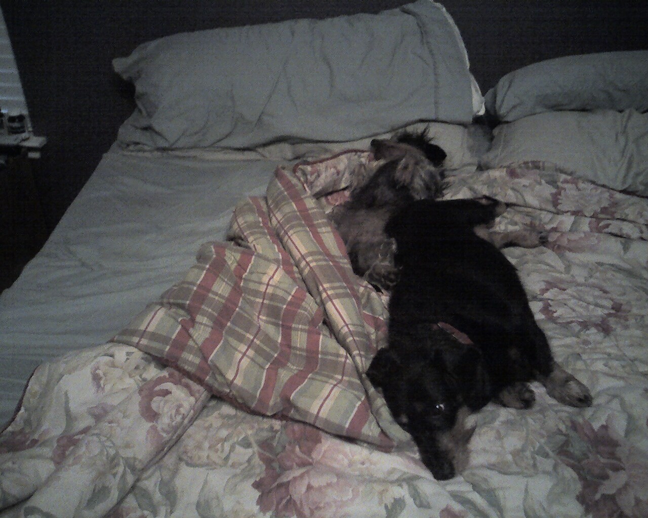 Photo_031912_001